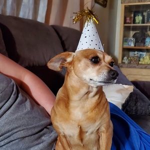 Meet your Posher, Marisol